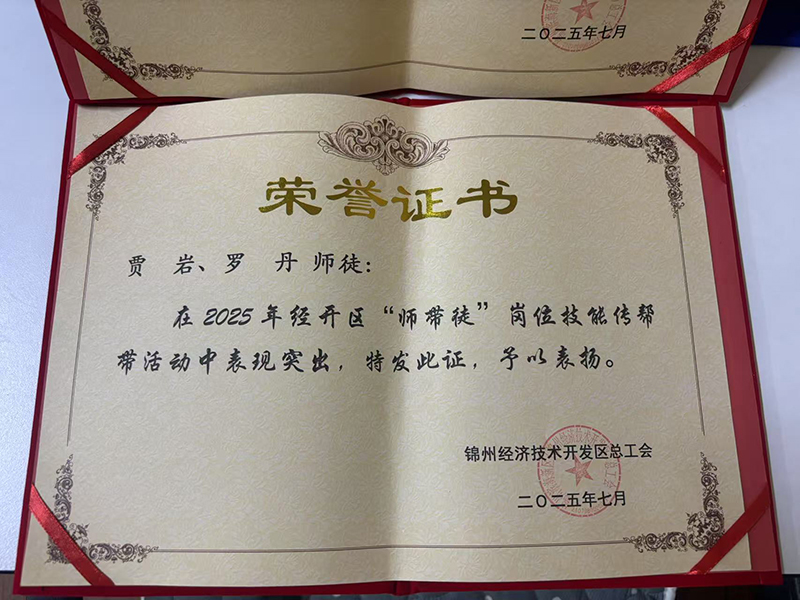 賈巖、羅丹師徒榮獲經(jīng)開(kāi)區(qū)“師帶徒”崗位技能傳幫帶活動(dòng)表彰